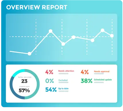 Overview Report